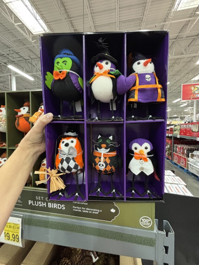 Halloween birds img 5469