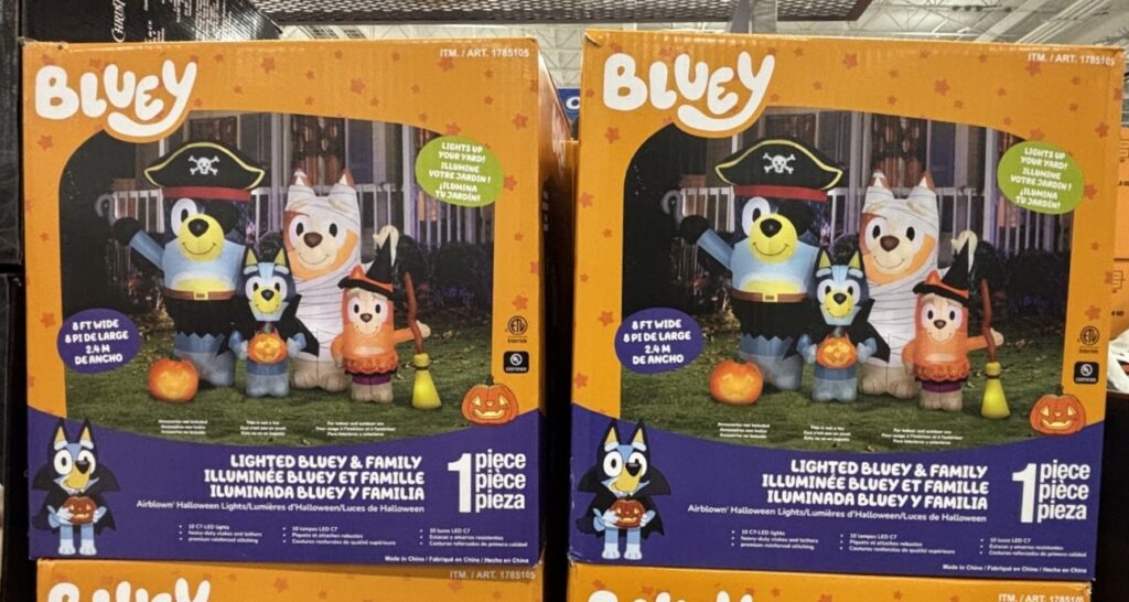 Halloween bluey img 3483