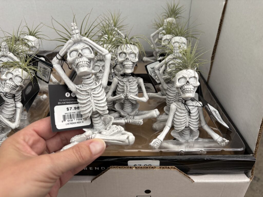 Halloween plants img 3862