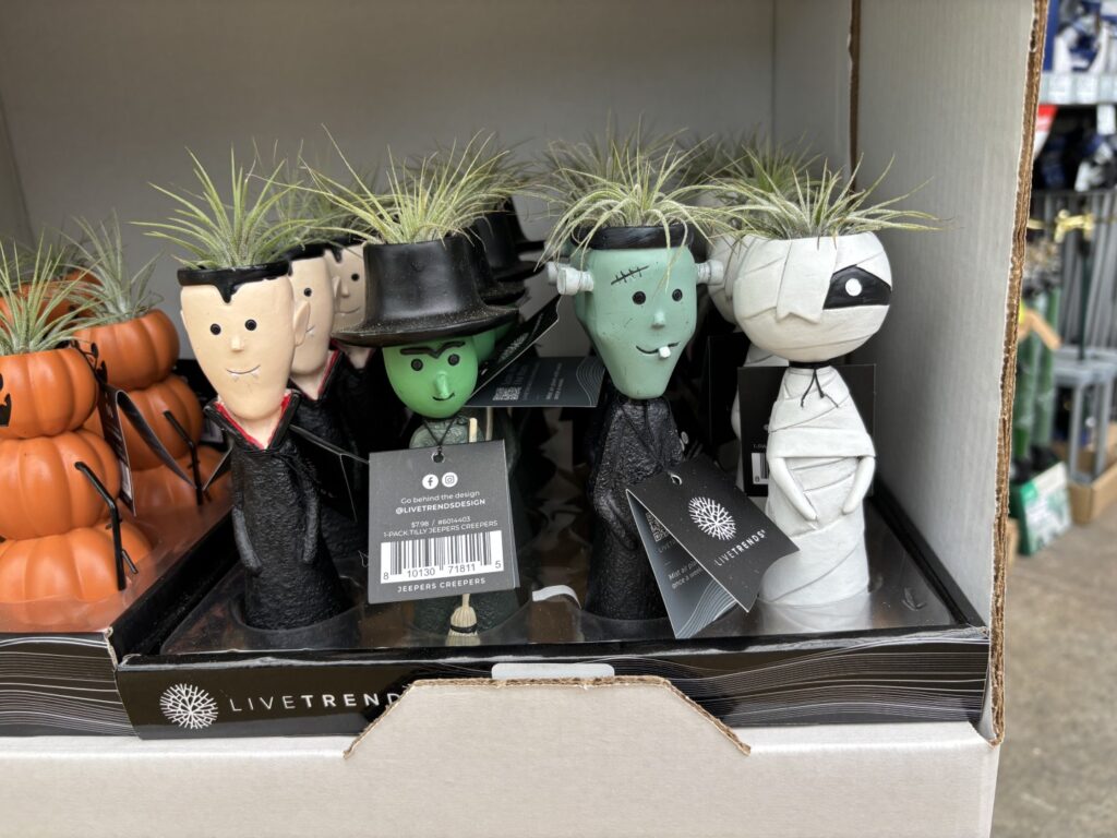 Halloween plants img 3864