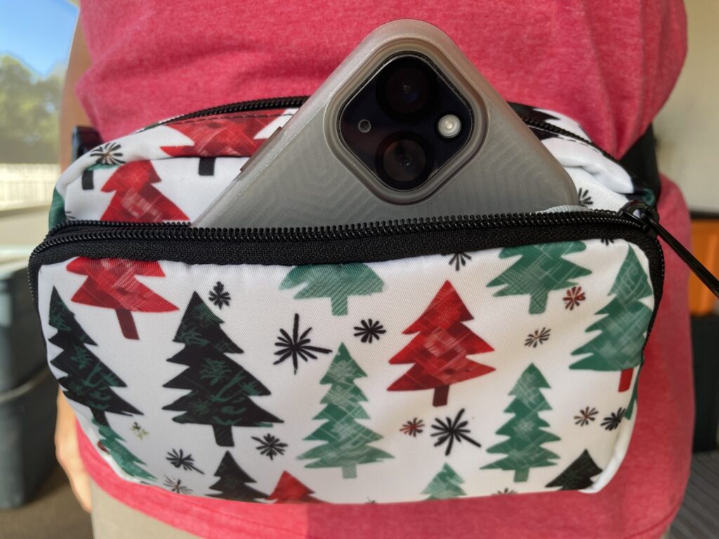 Christmas fanny pack img 8597
