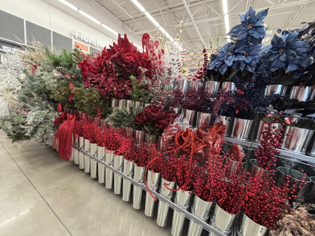Christmas stems IMG