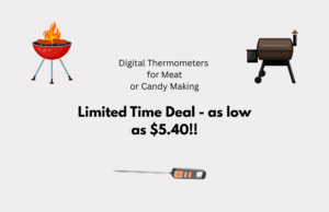 Meat Thermometer (1)