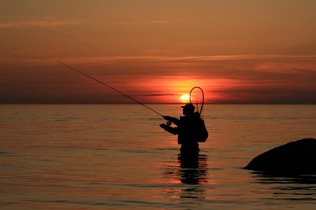 angler, time out, sunset, nature, fishing rod, sea, to catch fish, fishing, sea trout, sea trout fishing, bornholm, fly fishing, wading landing net, man, hunt, stress reduction, sea fishing