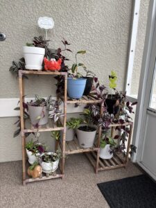 Plant stand IMG
