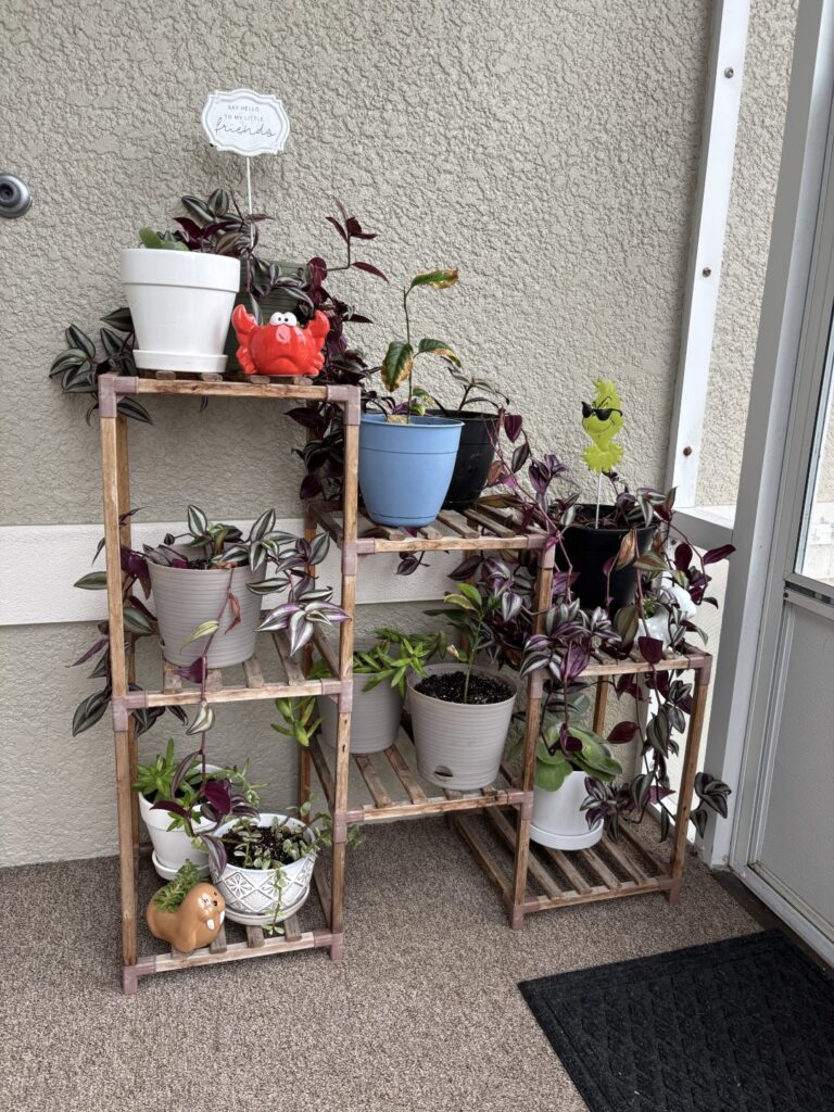 Plant stand IMG