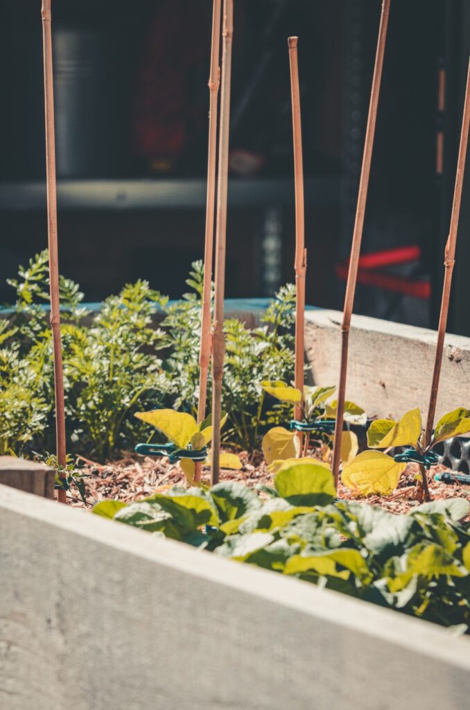 Raised garden farbsynthese self cultivation