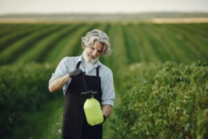 A senior gardener with gray hair and beard working in a green orchard using a sprayer.